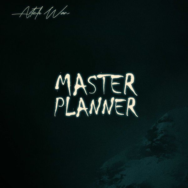 Article Wan – Master Planner Article Wan – Master Planner