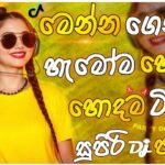 2026 New Trending Dj Nonstop | Sinhala Songs Dj Remix 2026 | Bass Boosted | Party Dance Dj Nonstop 1779966766_maxresdefault.jpg