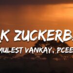 Mulest Vankay, Pcee, Scotts Maphuma - Mark Zuckerberg ft. Slyzza Rsa (Lyrics) 1780093996_maxresdefault.jpg