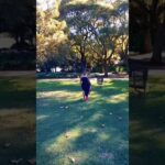 Ranger🥵🔥🔥#usa #amapiano #africa #dance #southafrica #trending #youtubeshorts #uk #me #ok #africa#fyp 1780962126_maxresdefault.jpg