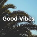 Good Vibes 🌴 Chill House Music 🌞 1782649747_maxresdefault.jpg