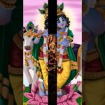 New Krishna bhajan status | Krishna Ji whatsapp status full hd | #shorts #video 1783499635_maxresdefault.jpg