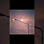 Ishq De Fanniyar ππ« | Jyotica Tangri | Aesthetic Lyrics Video | #song #lyrics #fyp #love #aesthetic 1784439965_maxresdefault.jpg